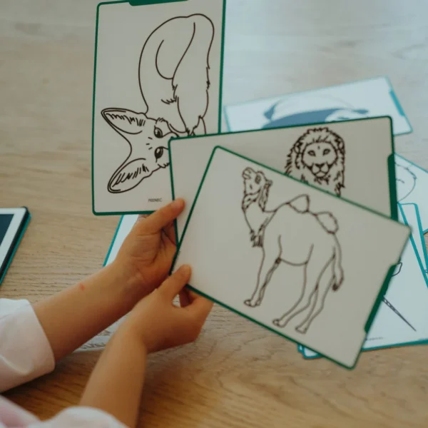 KIDYWOLF | Animaux Autour Du Monde – Kidydraw Mini – Image 4