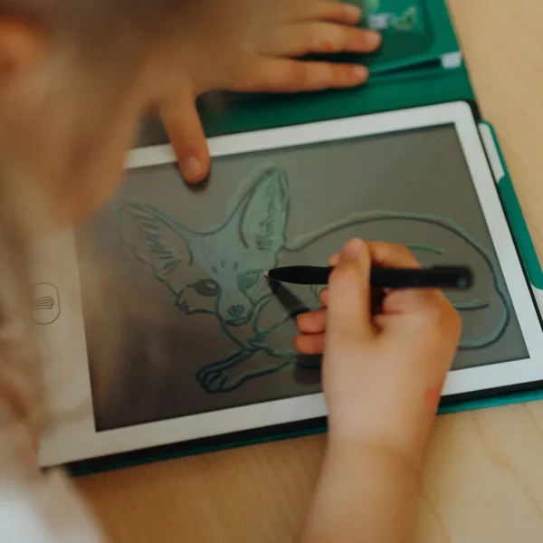 KIDYWOLF | Animaux Autour Du Monde – Kidydraw Mini – Image 2